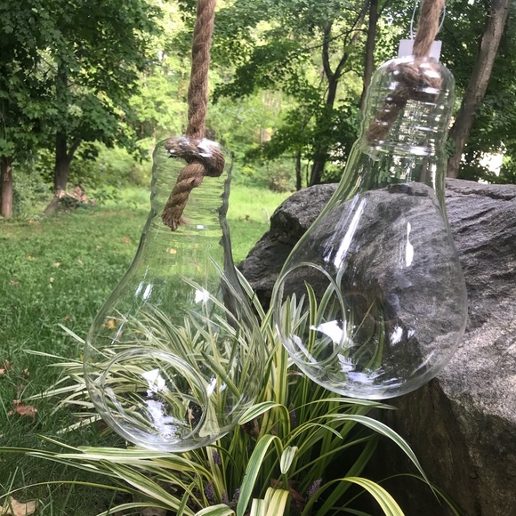 Brand New Hanging Glass Light Bulb Terrariums for Plants or Decor (Set of 2) - Picture 6 of 14